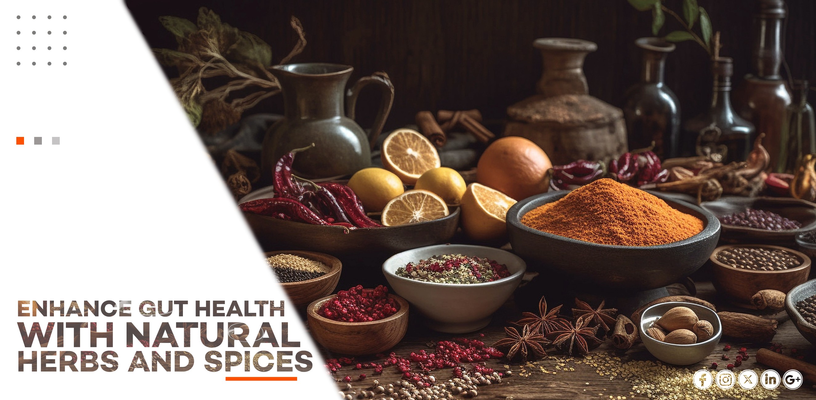 ENHANCE GUT HEALTH WITH NATURAL HERBS AND SPICES