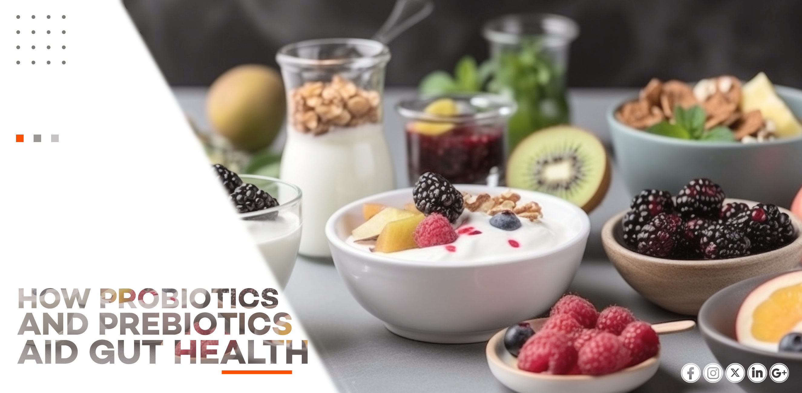 HOW PROBIOTICS AND PREBIOTICS AID GUT HEALTH